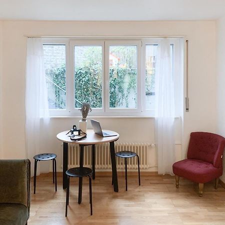 Lucerne Apartment - Near Lion Monument - By Paf Dış mekan fotoğraf
